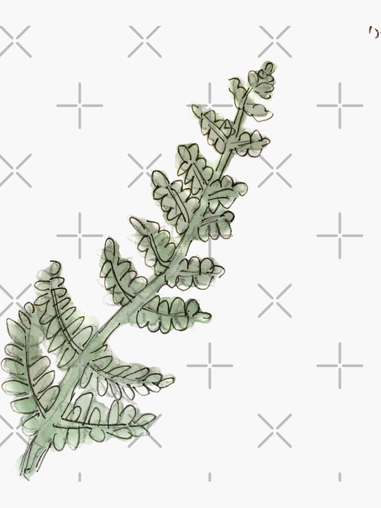 Dark Green Fern Leaf Illustration in Watercolor by WitchofWhimsy