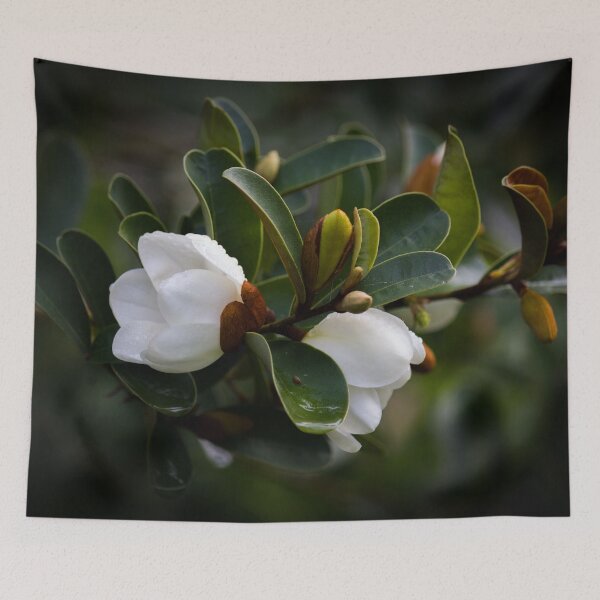 Item preview, Michelia designed and sold by KarenWoodArt.