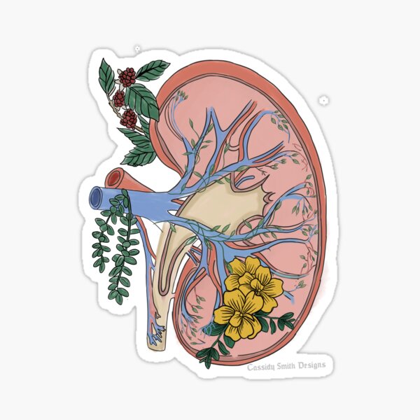 Transparent Background Stickers for Sale | Redbubble