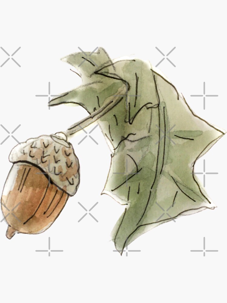 Woodsy Acorn and Lear Illustration in Watercolor by WitchofWhimsy