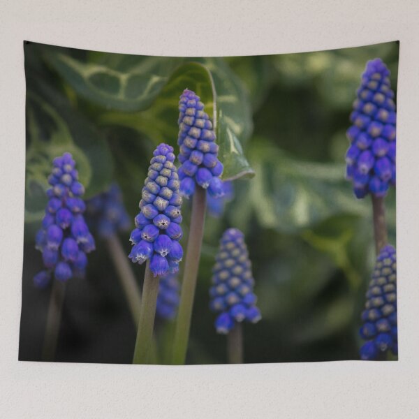 Item preview, Muscari designed and sold by KarenWoodArt.