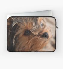 Yorkshire Terrier Laptop Sleeve