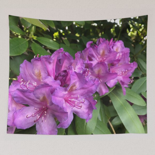 Item preview, Rhododendron in Bloom designed and sold by tryslora.