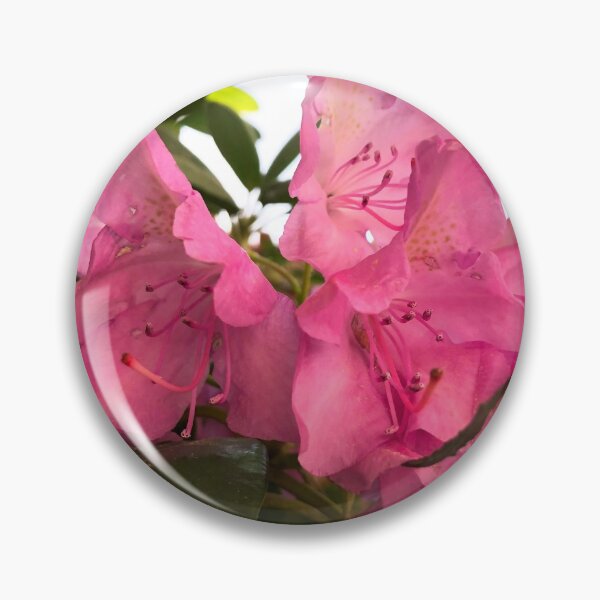 Item preview, Rhododendron in the Sun designed and sold by tryslora.
