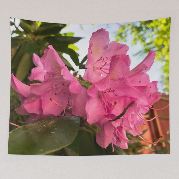 Item preview, Rhododendron in the Sun designed and sold by tryslora.