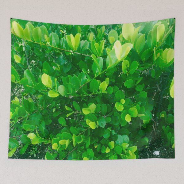 Item preview, Green leaves designed and sold by gloriasd14.