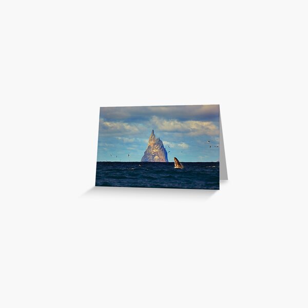 The Whale Shot Greeting Card