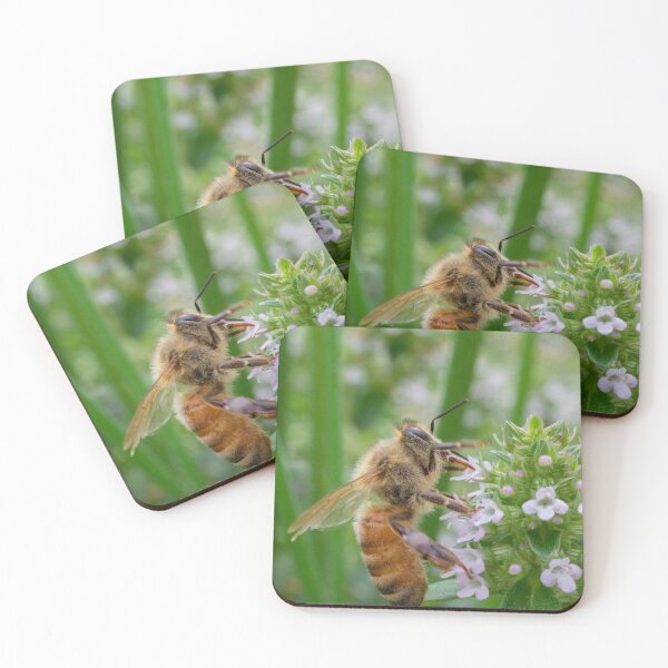 Item preview, Buzz off designed and sold by KazzaKphotos.