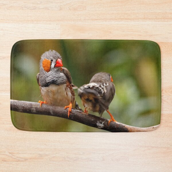 Item preview, Funny Shake that Booty, Zebra Finch! designed and sold by walkswithnature.
