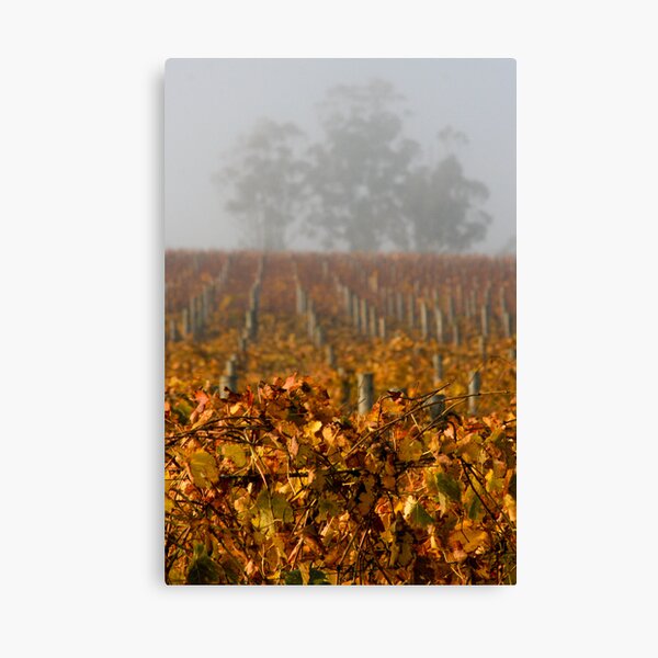 Item preview, Vineyard - Yarra Valley designed and sold by David Hicks.