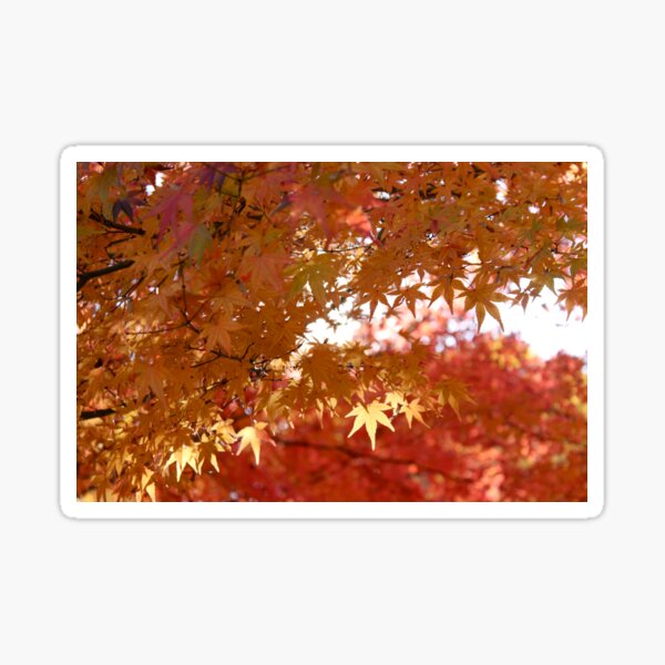 Koku Koen Autumn #1 Sticker