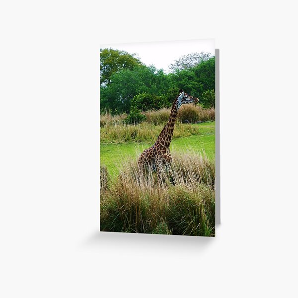 Item preview, Reticulated Giraffe designed and sold by toddbrooney.