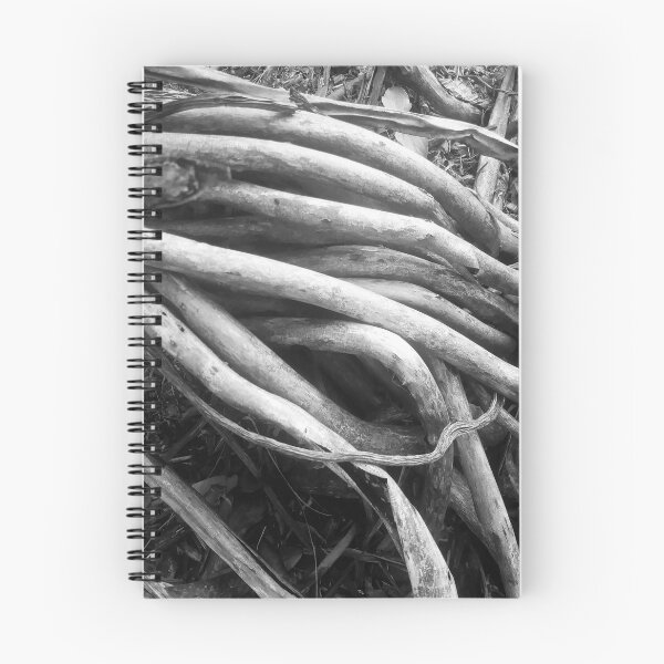 Item preview, Beautiful Tree roots - Black and white designed and sold by gloriasd14.