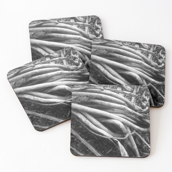 Item preview, Beautiful Tree roots - Black and white designed and sold by gloriasd14.