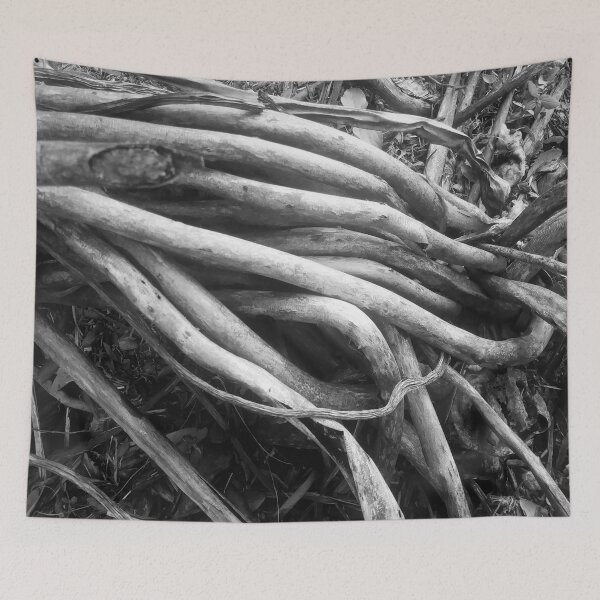 Item preview, Beautiful Tree roots - Black and white designed and sold by gloriasd14.