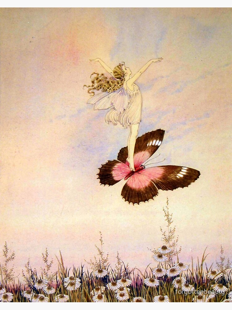 Morning Fairy - Ida Rentoul Outhwaite | Art Board Print