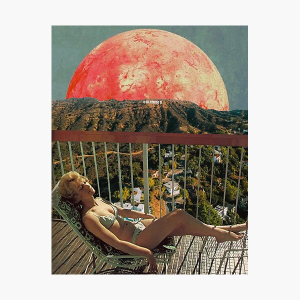 Sunbathing Photographic Print