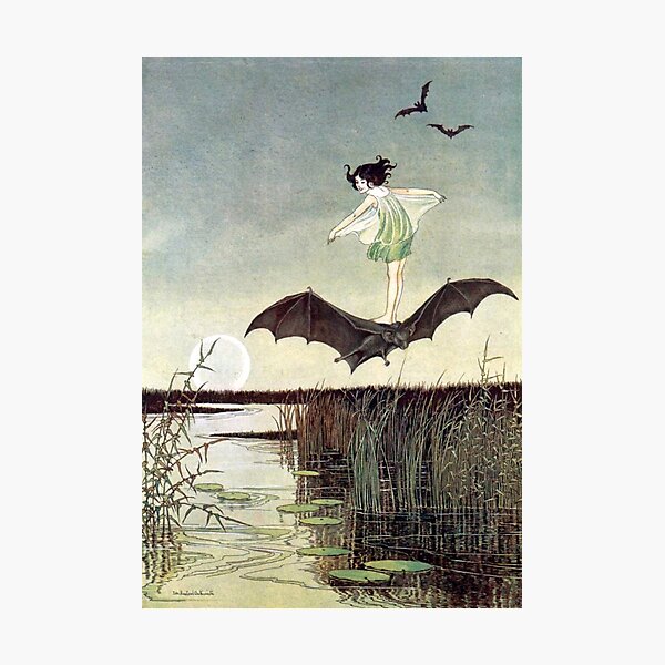 Fairy Girl Riding a Bat - Ida Rentoul Outhwaite Photographic Print