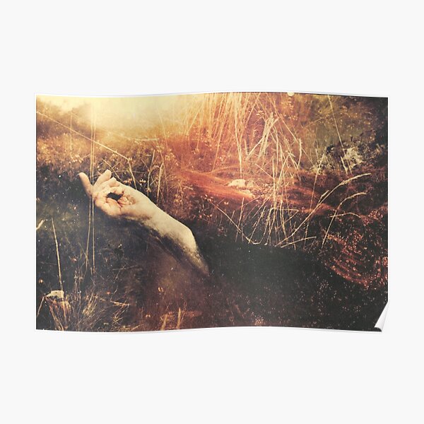 La Transformation Poster