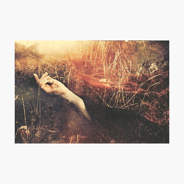 La Transformation Photographic Print