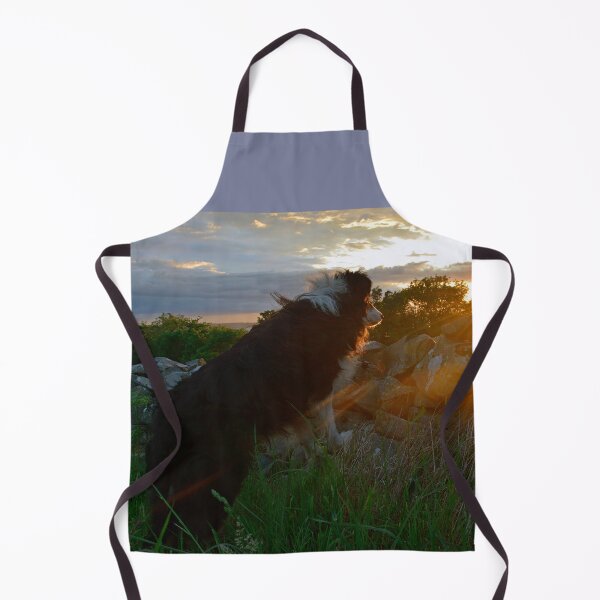 Item preview, Evensong. designed and sold by Michael Haslam.