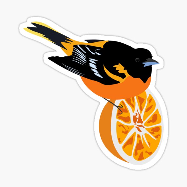 Item preview, Oriole on an Orange designed and sold by jspiggle.