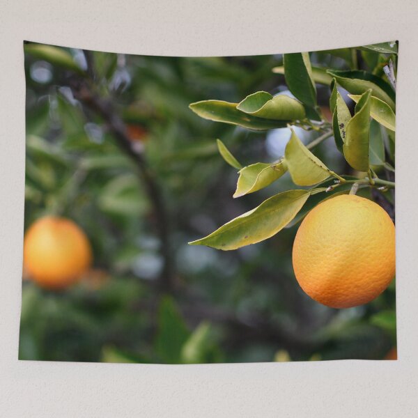 Item preview, Oranges designed and sold by notjustamwac.