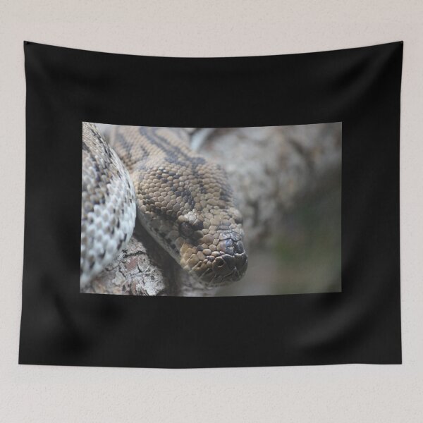 Item preview, Sinister Snake designed and sold by KaiydoRose.