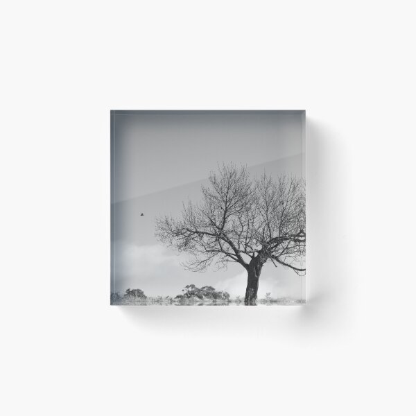 Item preview, Winter Walnut designed and sold by Clare Colins.