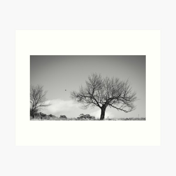 Item preview, Winter Walnut designed and sold by Clare Colins.