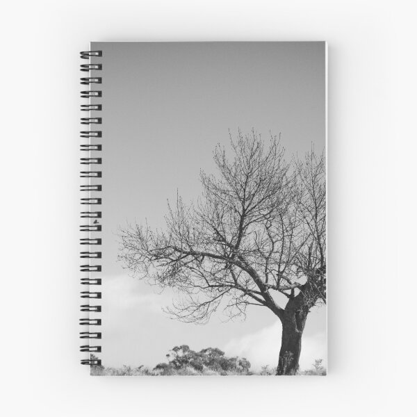 Item preview, Winter Walnut designed and sold by Clare Colins.