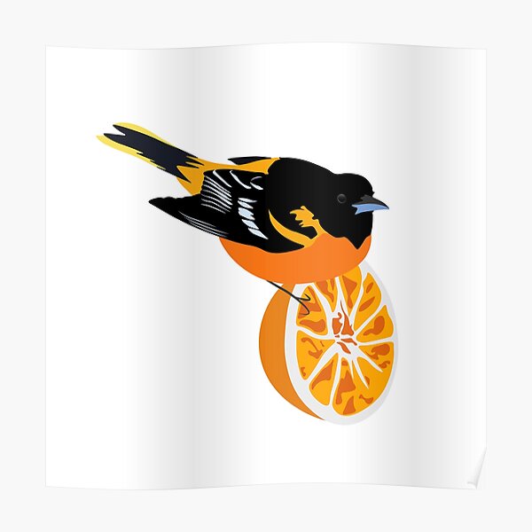 Minimalist Orioles Bird Canvas