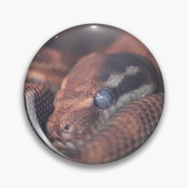 Item preview, Servailance Snake designed and sold by KaiydoRose.