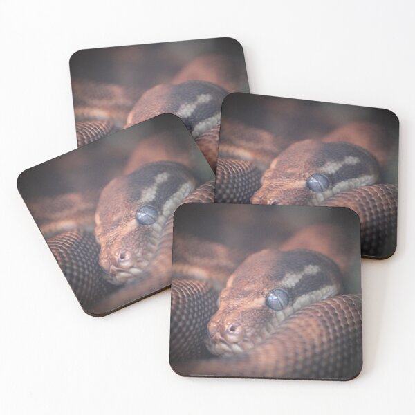 Item preview, Servailance Snake designed and sold by KaiydoRose.