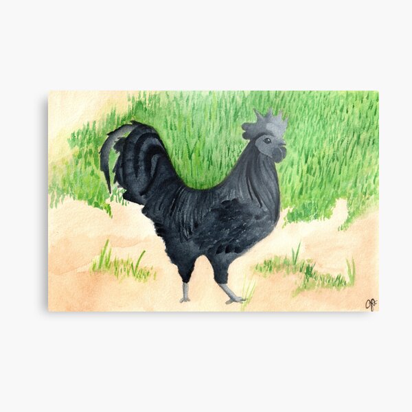 Rooster Noir Metal Print