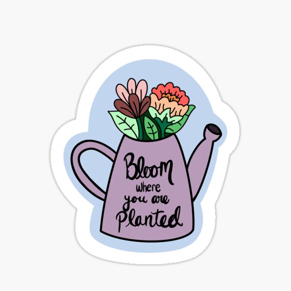 Bloom Where You Are Planted Sticker