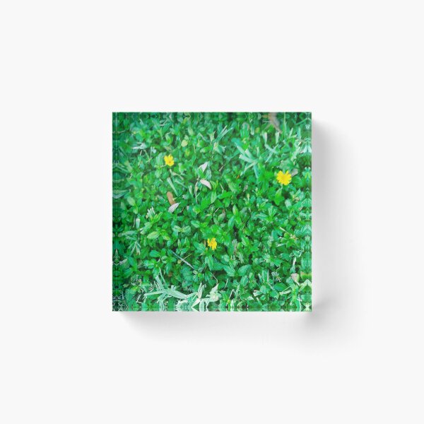 Item preview, Green Grass designed and sold by gloriasd14.