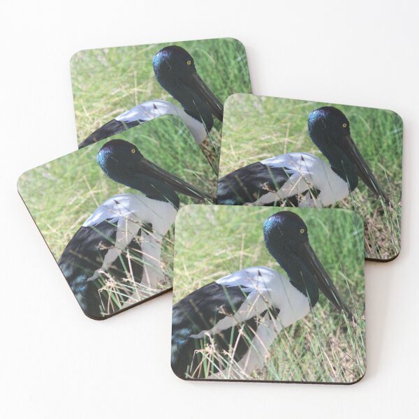 Item preview, Hiding Jabiru Bird designed and sold by KaiydoRose.