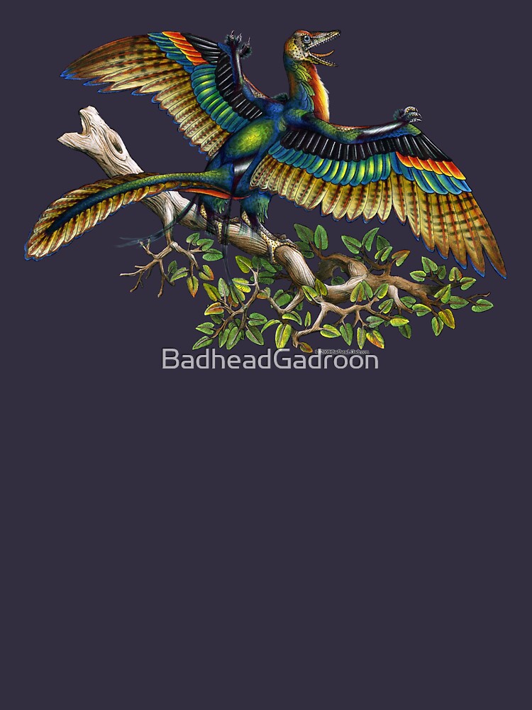 Archaeopteryx pullover sales