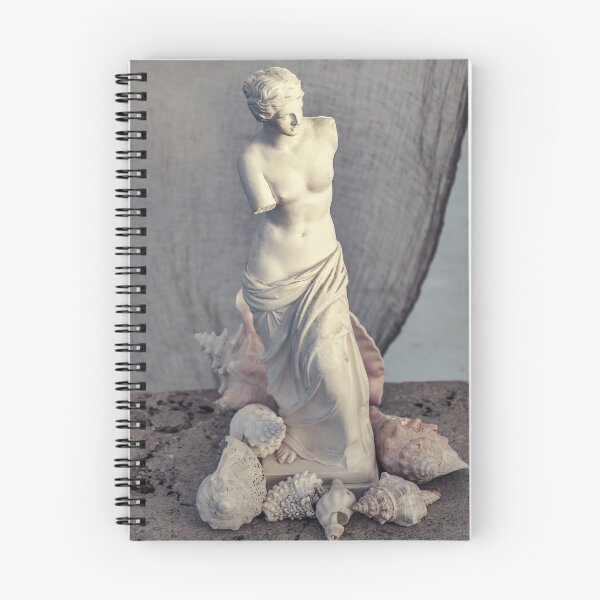 Item preview, Goddess Statue And Seashells designed and sold by Elena Ray.