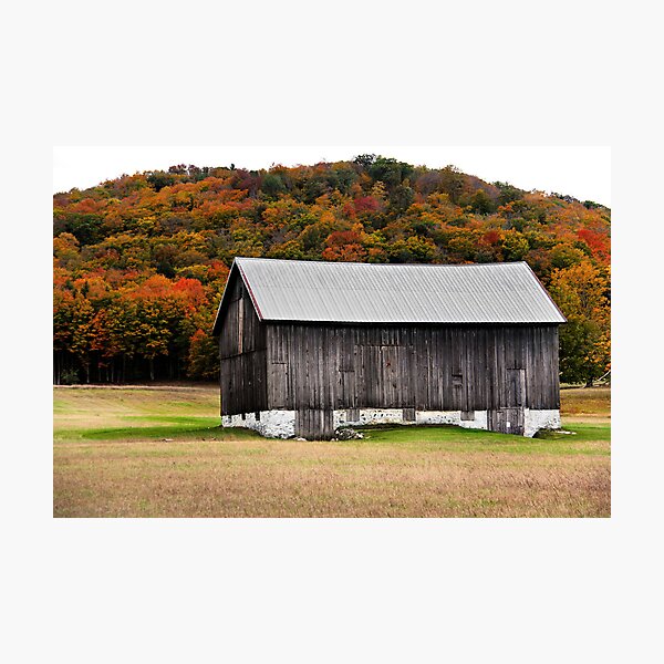 Item preview, Barn with Fall Foliage designed and sold by naturesangle.