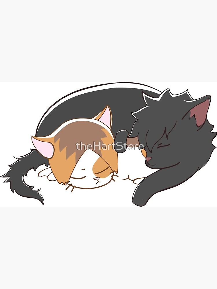 Featured image of post The Best 27 Haikyuu Kenma And Kuroo Cats