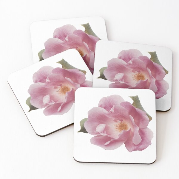Item preview, Rosa rosada designed and sold by Mumize.