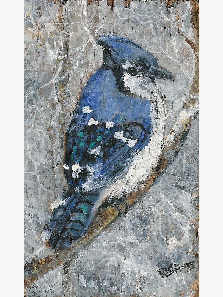 Blue Jay - Signed Fine Art Print