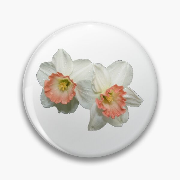 Item preview, Apricot and White Jonquil Daffodil Flowers with Dewdrops Macro designed and sold by Artist4God.