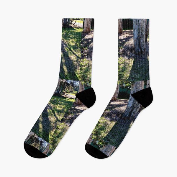 Item preview, Trees and Shadows  designed and sold by KazM.