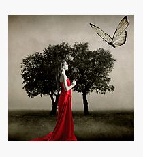 Metamorphosis... Photographic Print