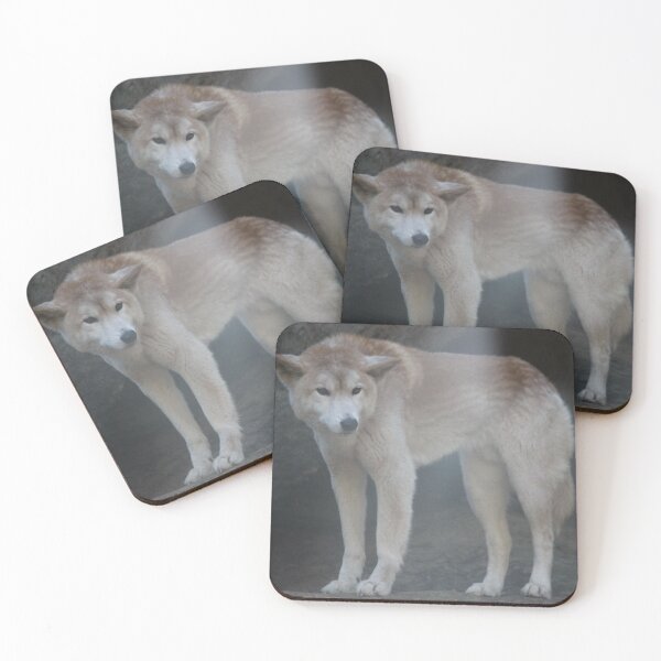 Item preview, Aussie Dingo designed and sold by KaiydoRose.