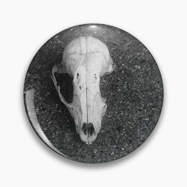 Item preview, Black and White Squirrel Skull designed and sold by mreleganza.