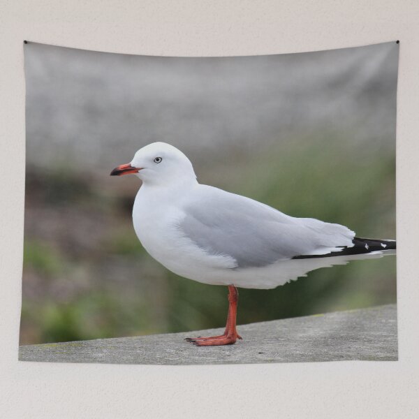 Item preview, Seagull Standing On Wall designed and sold by KarenWoodArt.